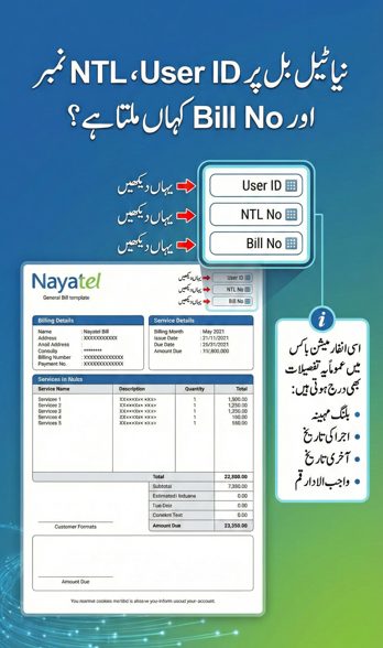Instructional infographic showing where to find User ID, NTL number and Bill number on a Nayatel bill