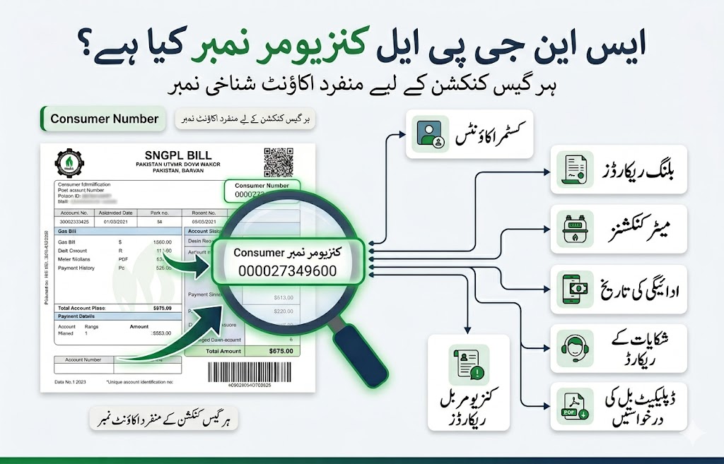 Infographic explaining what an SNGPL consumer number is on a Pakistan gas bill with highlighted consumer number and connected utility service records.